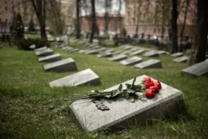 Cemitério parque com lápides gramadas e rosas vermelhas sobre um túmulo.